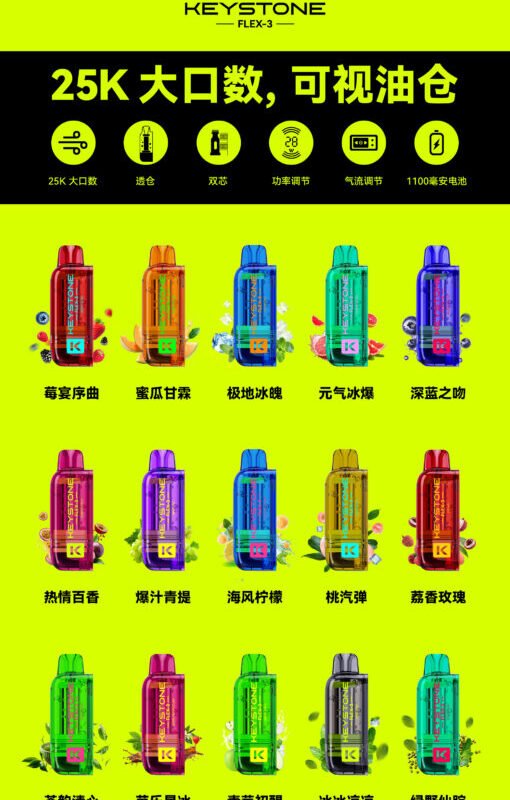 【A倉】鑰石 25000口 換彈式【超大口數＋可視油倉＋買一盒送一桿】